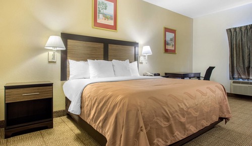 Room, 1 King Bed, Non Smoking