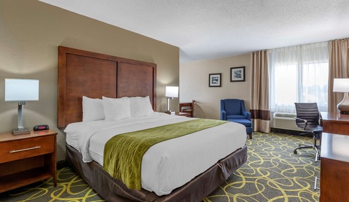 Room, 1 King Bed, Non Smoking