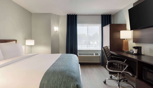 Room, 1 Queen Bed, Accessible, Non Smoking (Mobility, Roll-in Shower)