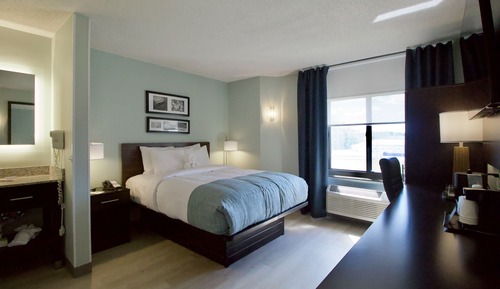 Room, 1 Queen Bed, Non Smoking