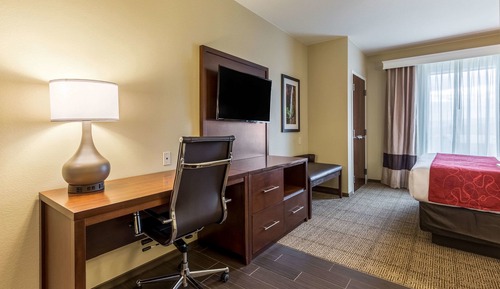 Suite, 1 King Bed with Sofa bed, Non Smoking