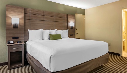 Standard Room, 1 King Bed, Non Smoking, Courtyard View