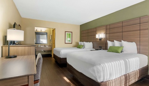 Standard Room, 2 Queen Beds, Non Smoking (Pet Friendly)