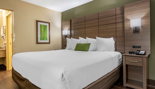 Standard Room, 1 King Bed, Non Smoking (Pet Friendly)