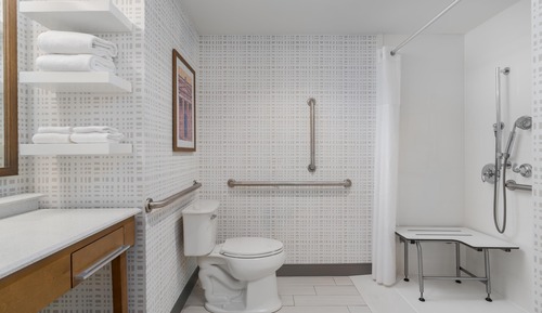 Room, 1 King Bed, Accessible (Mobility & Hearing, Roll-in Shower)