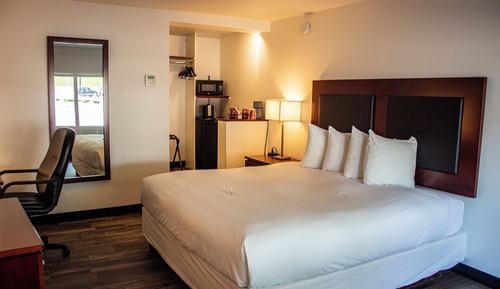 Standard Room, 1 King Bed