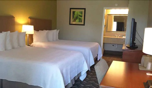 Standard Room, 2 Double Beds