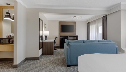 Standard Room, 1 King Bed, Non Smoking, Refrigerator (Larger Room;with Sofabed)