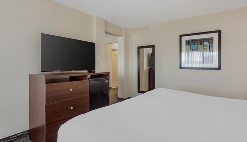 Suite, 1 King Bed, Non Smoking, Refrigerator (with Sofabed)