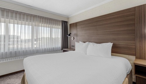 Executive Room, 1 King Bed, Non Smoking, Refrigerator & Microwave