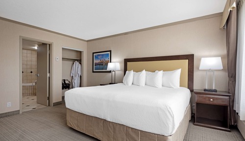 Suite, 1 King Bed, Non Smoking, Jetted Tub (with Sofabed)