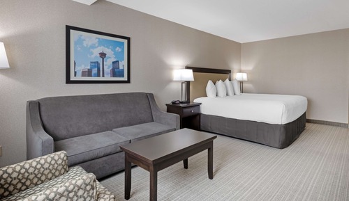Standard Room, 1 King Bed, Non Smoking, Refrigerator & Microwave