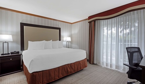 Standard Room, 1 King Bed, Non Smoking, Jetted Tub