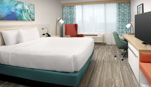 Room, 1 King Bed, Accessible, Bathtub