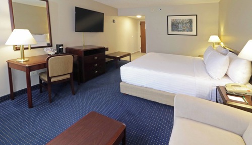 Business Room, 1 King Bed, Non Smoking
