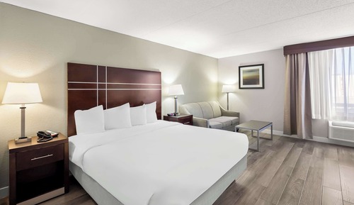 Standard Room, 1 King Bed, Non Smoking (1st Floor;Pet Friendly;with Sofabed)