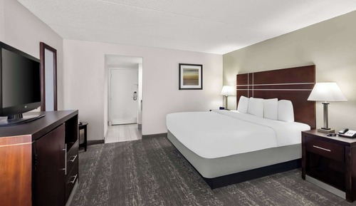 Standard Room, 1 King Bed, Non Smoking, Refrigerator & Microwave (Pet Friendly)