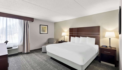 Standard Room, 1 King Bed, Accessible, Refrigerator & Microwave