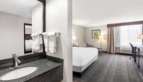Standard Room, 1 King Bed, Non Smoking, Refrigerator & Microwave (with Sofabed)