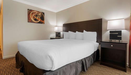 Standard Room, 1 King Bed, Non Smoking, Refrigerator & Microwave