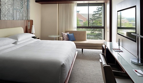 Basic Room, 1 King Bed, Accessible Bathtub, Non Smoking (Hearing Accessible)
