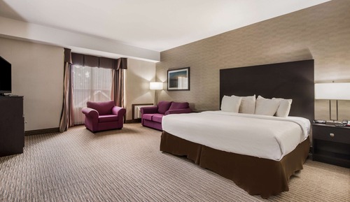 Business Room, 1 King Bed with Sofa bed, Non Smoking, Refrigerator (with Sofabed)