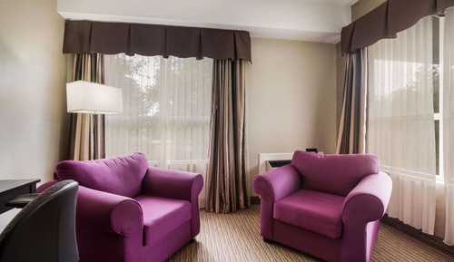 Standard Room, 1 Queen Bed, Non Smoking, Refrigerator