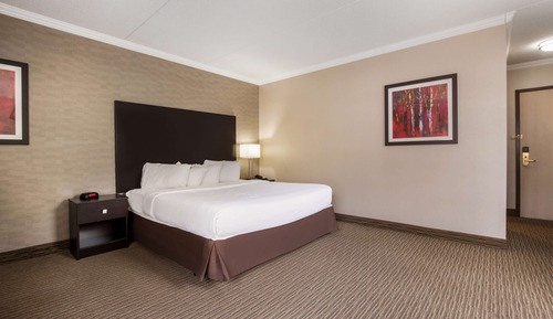 Standard Room, 1 King Bed with Sofa bed, Non Smoking, Jetted Tub (with Sofabed)