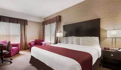 Standard Room, 1 Queen Bed, Non Smoking, Refrigerator