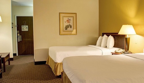 Standard Double Room, 2 Double Beds, Non Smoking