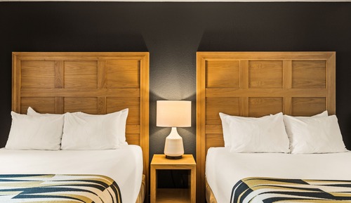 Executive 2 Queen Suite