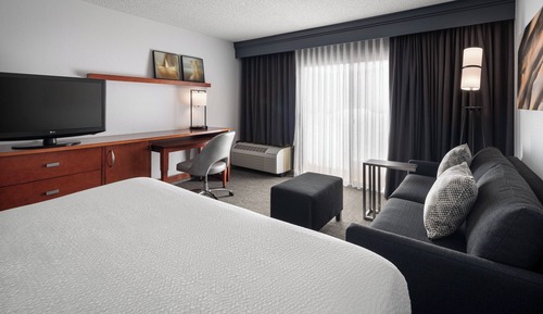 Room, 1 King Bed with Sofa bed