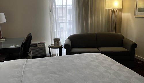 Standard Room, 1 King Bed with Sofa bed