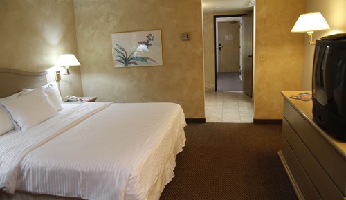 Deluxe Suite, 1 King Bed, Non Smoking