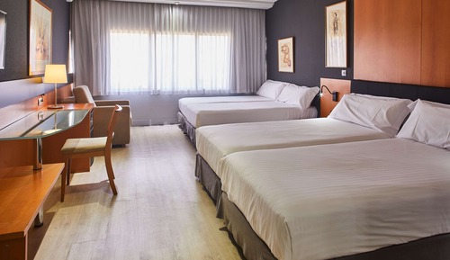 Triple Room ( 2 adults + 1 child)