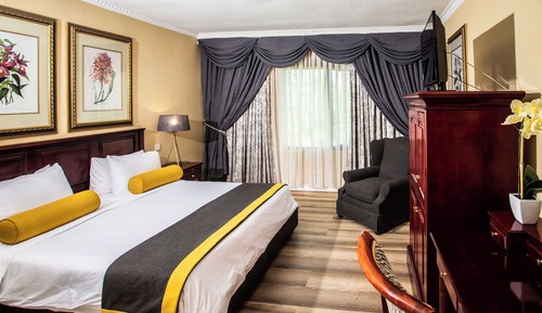 AVANI Suite