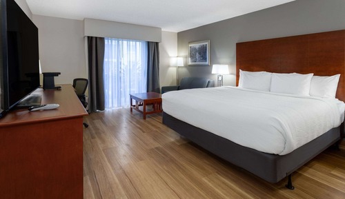 Room, 1 King Bed, Non Smoking