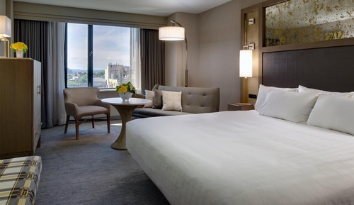 Room, 1 King Bed
