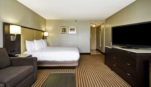 Room, 1 King Bed, Pool View