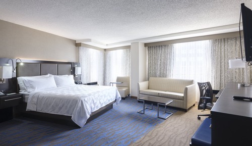 Standard Room, 1 King Bed with Sofa bed