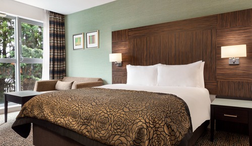 Premium Room, 1 Queen Bed with Sofa bed