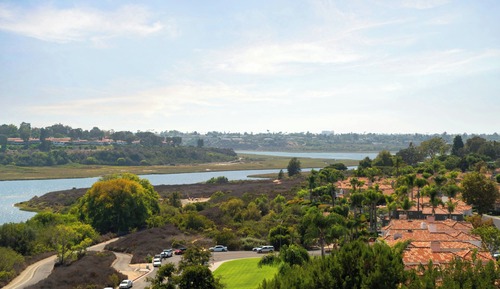 Suite, 1 Bedroom, Bay View