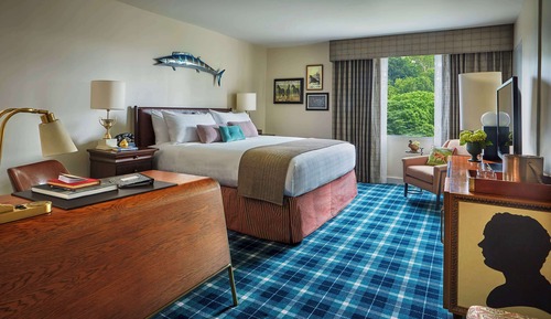 Room, 1 King Bed
