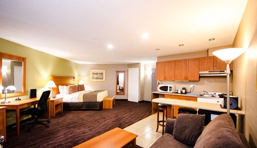 Standard Room, 1 King Bed with Sofa bed, Non Smoking, Kitchenette (with Sofabed)