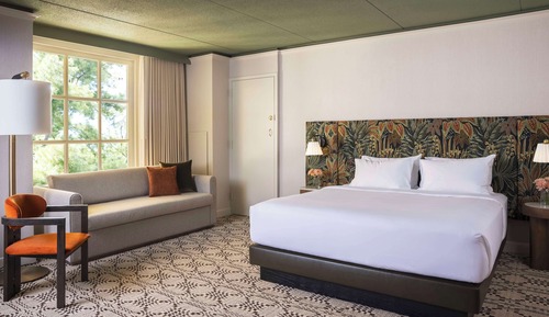 Room, 1 King Bed with Sofa bed (Atrium View)