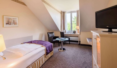 Business Room, 1 Twin Bed