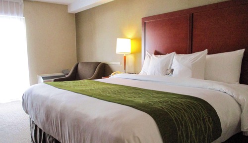 Room, 1 King Bed, Non Smoking