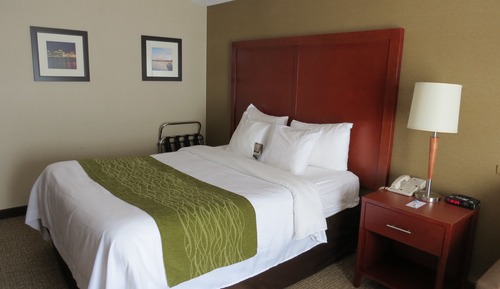 Comfort Care, Standard Room, 1 Queen Bed, Non Smoking