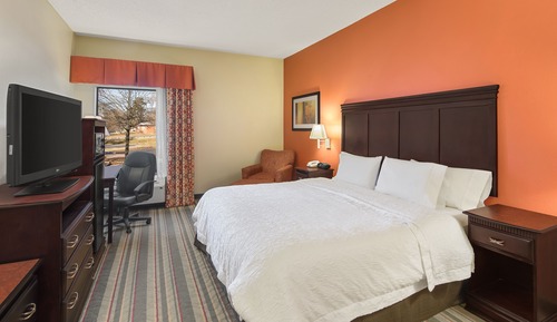 Classic Room, 1 King Bed, Accessible, Bathtub (Mobility Room - Tub)