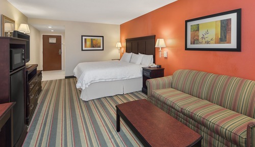Classic Room, 1 King Bed with Sofa bed